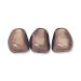 Pearl Baroque Tooth Shape Bronze