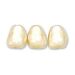 Pearl Baroque Tooth Shape Gold