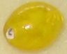 Oval Small Yellow Speckled